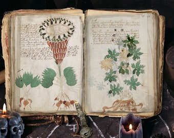 ANCIENT VOYNICH MANUSCRIPT, 15th Century Witchcraft, Digital Download, 209 Pages, Old Handwritten Mysterious Undecipherable Book of Shadows
