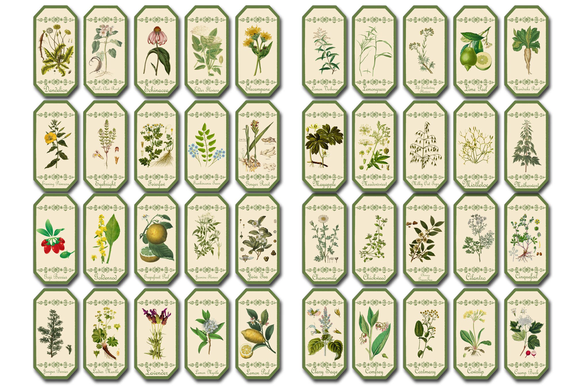 100 LABELS Herbal Apothecary Herb & Spice Labels Botanical Etsy