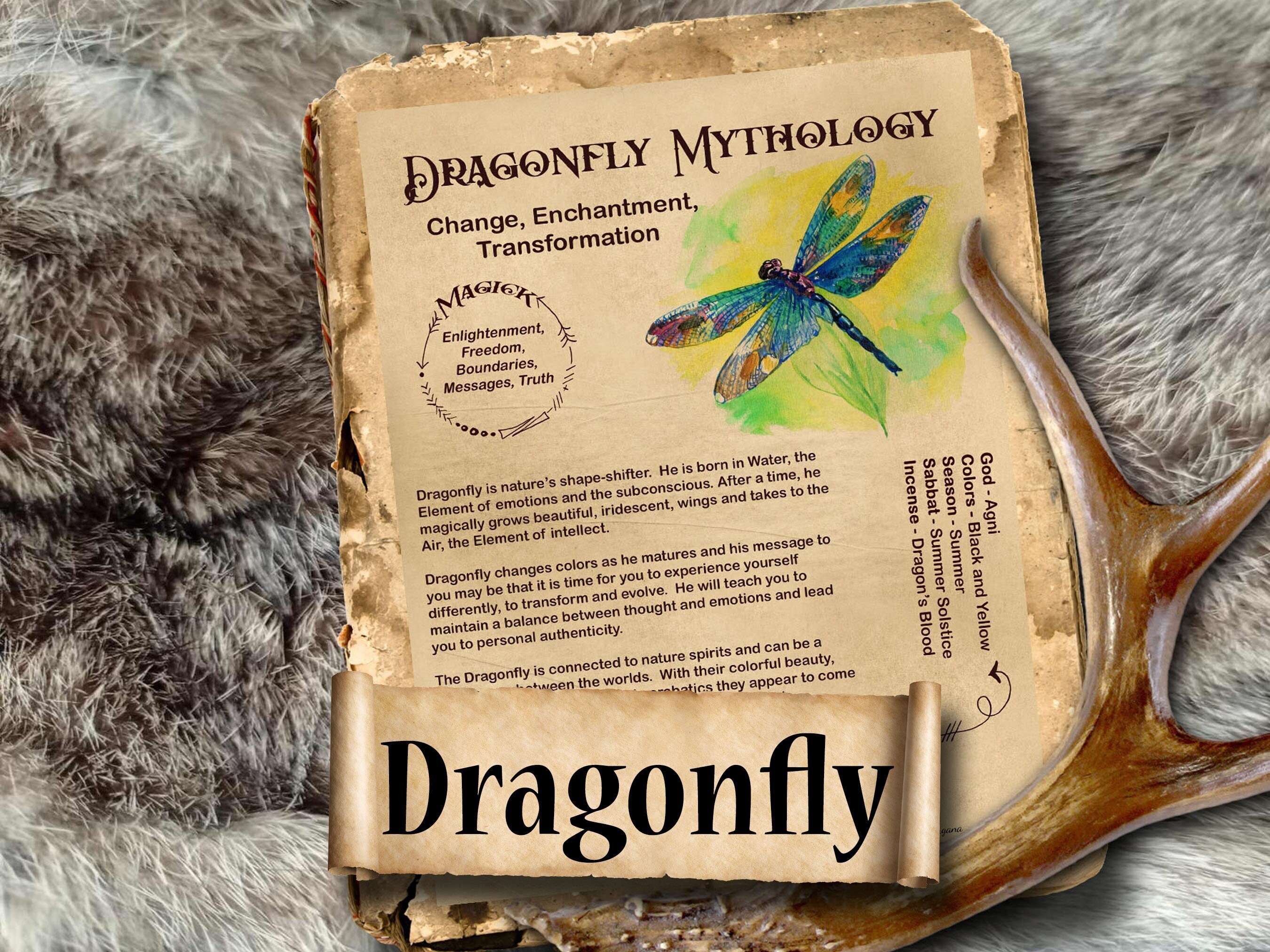 Dragonfly Happy Hour Times : Discover the Perfect Power Hour for Drinks & Deals!