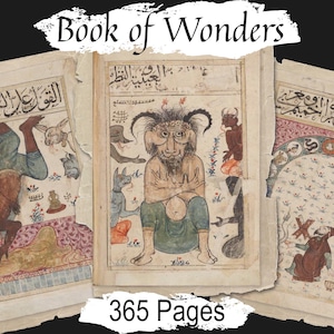 失われた不思議な書、14世紀の古代オカルト書、365ページの印刷可能なページ、解読不能な手書きの謎の影の書