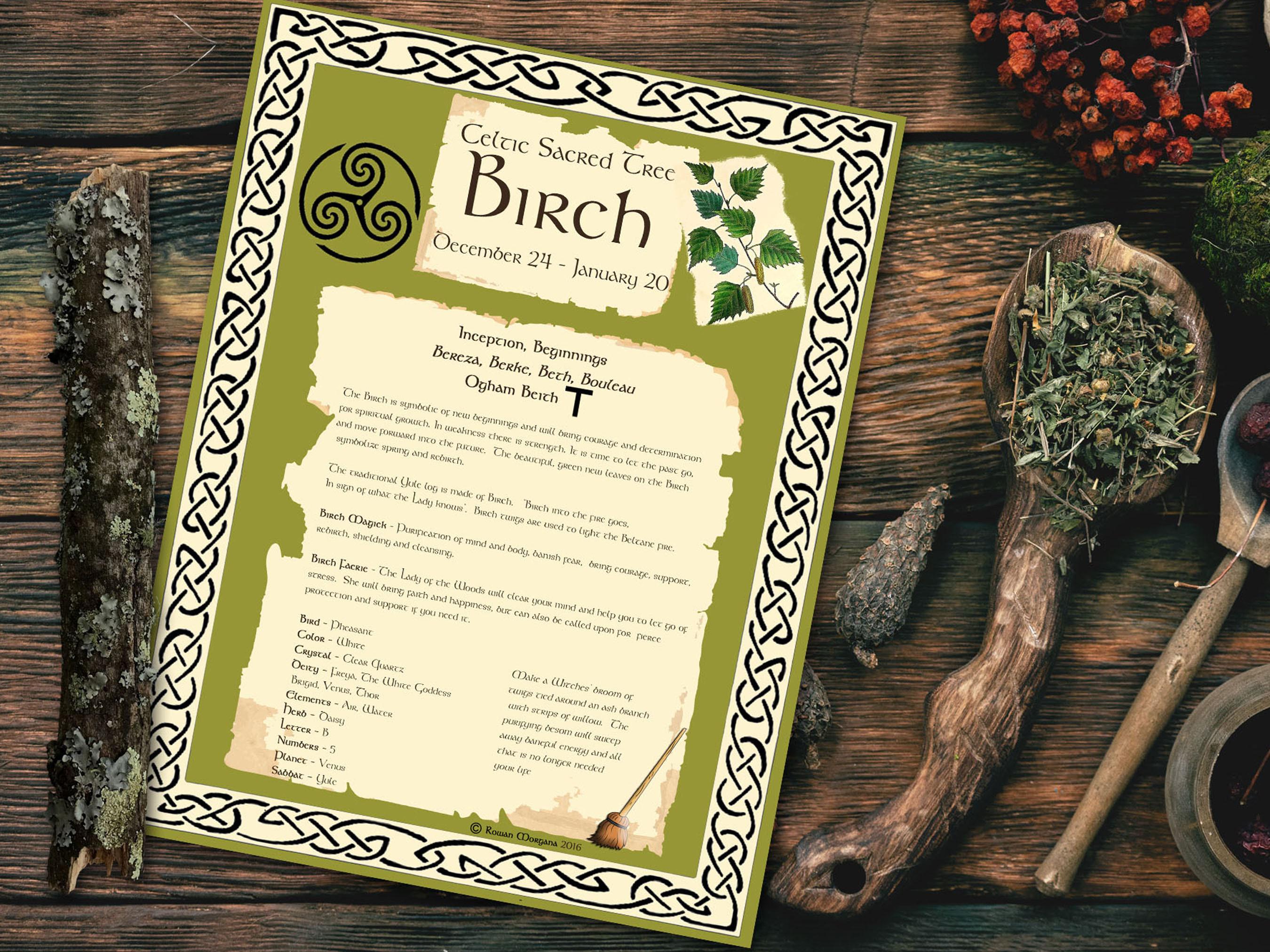 Celtic Tree Calendar: Druid Tree Months Spellbook Pages (PDF) - Etsy