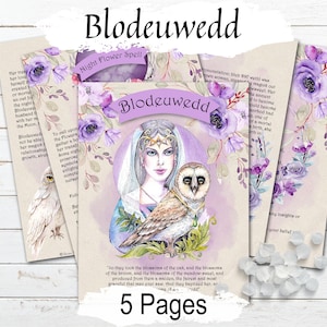 IL VIAGGIO DI BLODEUWEDD, una narrazione illustrata di trasformazione e saggezza dalla mitologia gallese, 5 pagine stampabili,