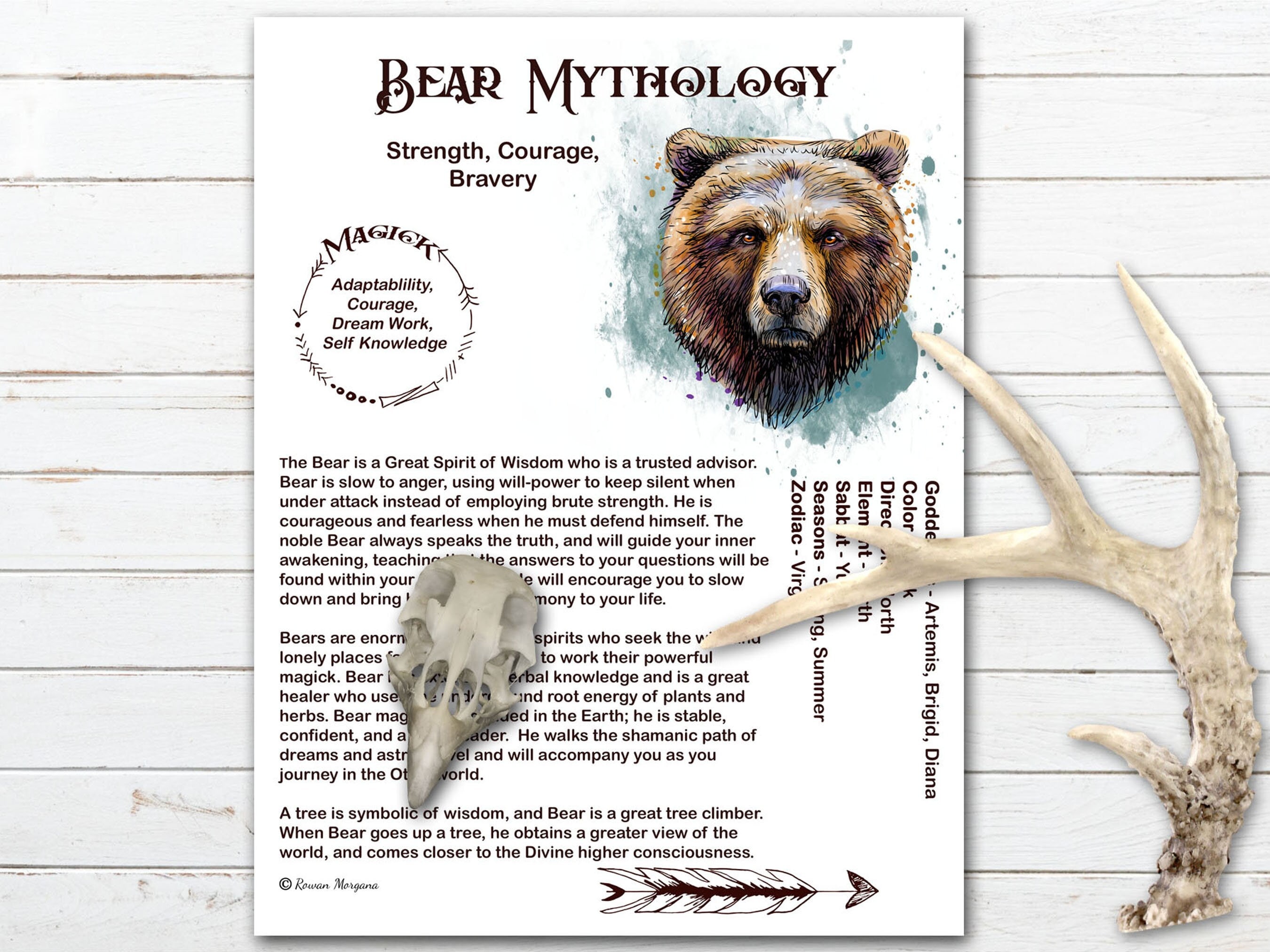 BEAR MAGIC Protector and Advisor Myths & Correspondences 