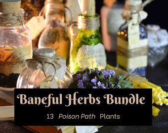BANEFUL HERBS Bundle, 13 Poison Botanicals, 46 Printable Pages of Ritual Poisonous Plants, Green Witch Herbal Grimoire of Baneful Plants