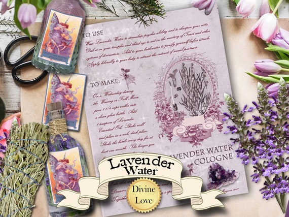 Lavender Dried Flower, Apothecary, Witchcraft, Wicca