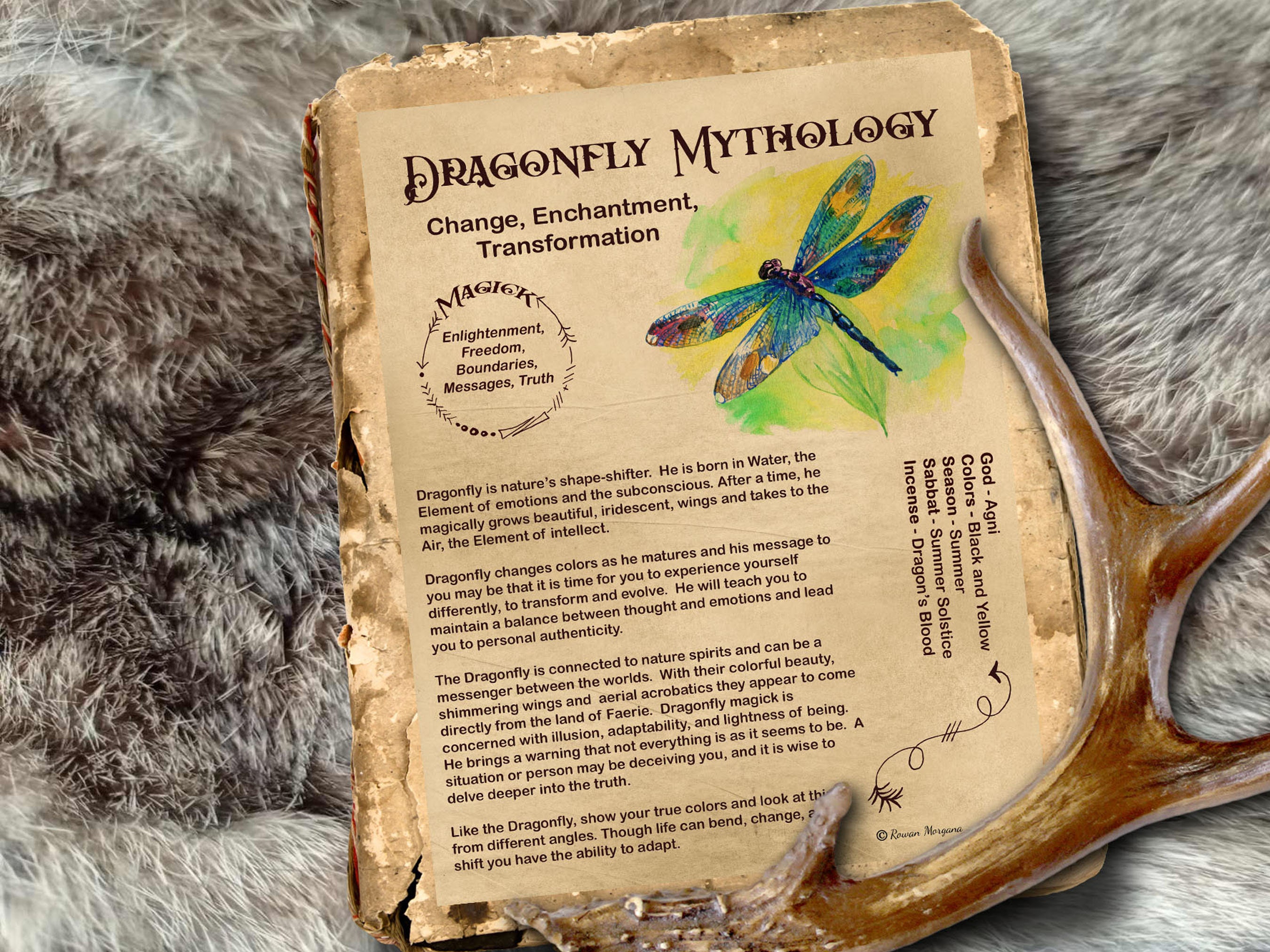 DRAGONFLY MAGICK Myths & Correspondences Digital Download - Etsy DRAGONFLY MAGICK Myths & Correspondences Digital Download - Etsy