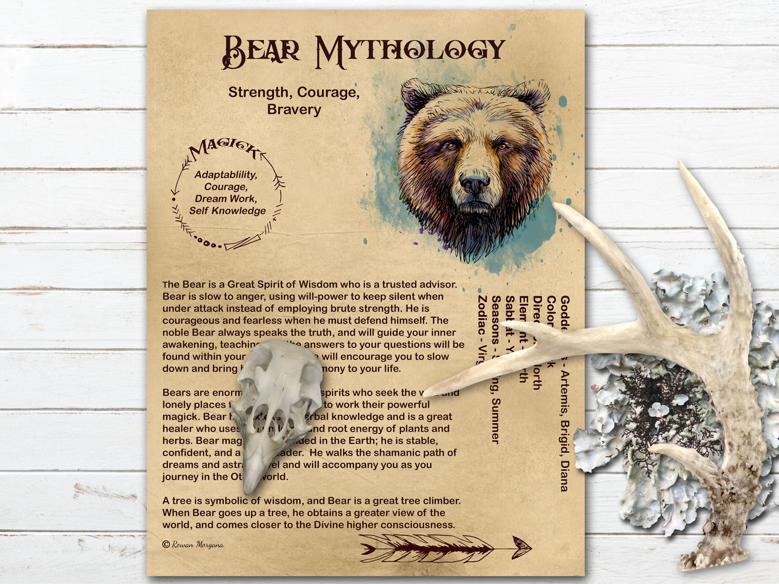 BEAR MAGIC Protector and Advisor Myths & Correspondences 