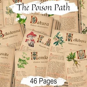 POISONOUS BOTANICALS BUNDLE: 13 Baneful Herbs for Green Witchcraft & Ritual Magic