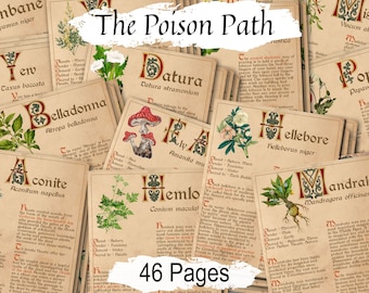 BANEFUL HERBS BUNDLE, Green Witch Herbal Grimoire, 13 Poison Botanicals, Witchcraft Ritual Magick Plants, Wicca Herbs, 46 Printable pages