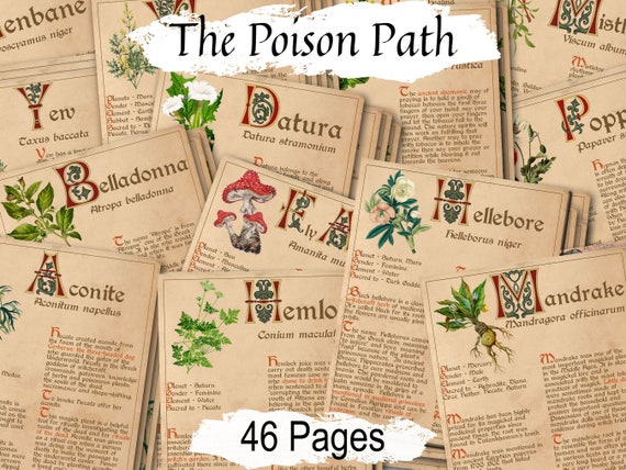Poisonous Botanicals Bundle: 13 Baneful Herbs for Green Witchcraft & Ritual Magic