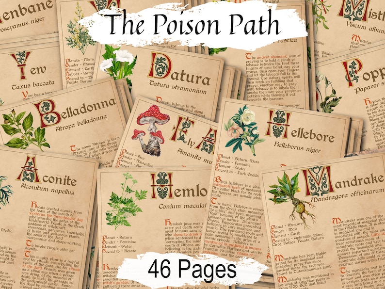 BANEFUL HERBS Bundle, 13 Poison Botanicals, 46 Witchcraft Pages of Ritual Poisonous Plants, Wicca Witch Herbal Grimoire of Baneful Plants - Morgana Magick Spell