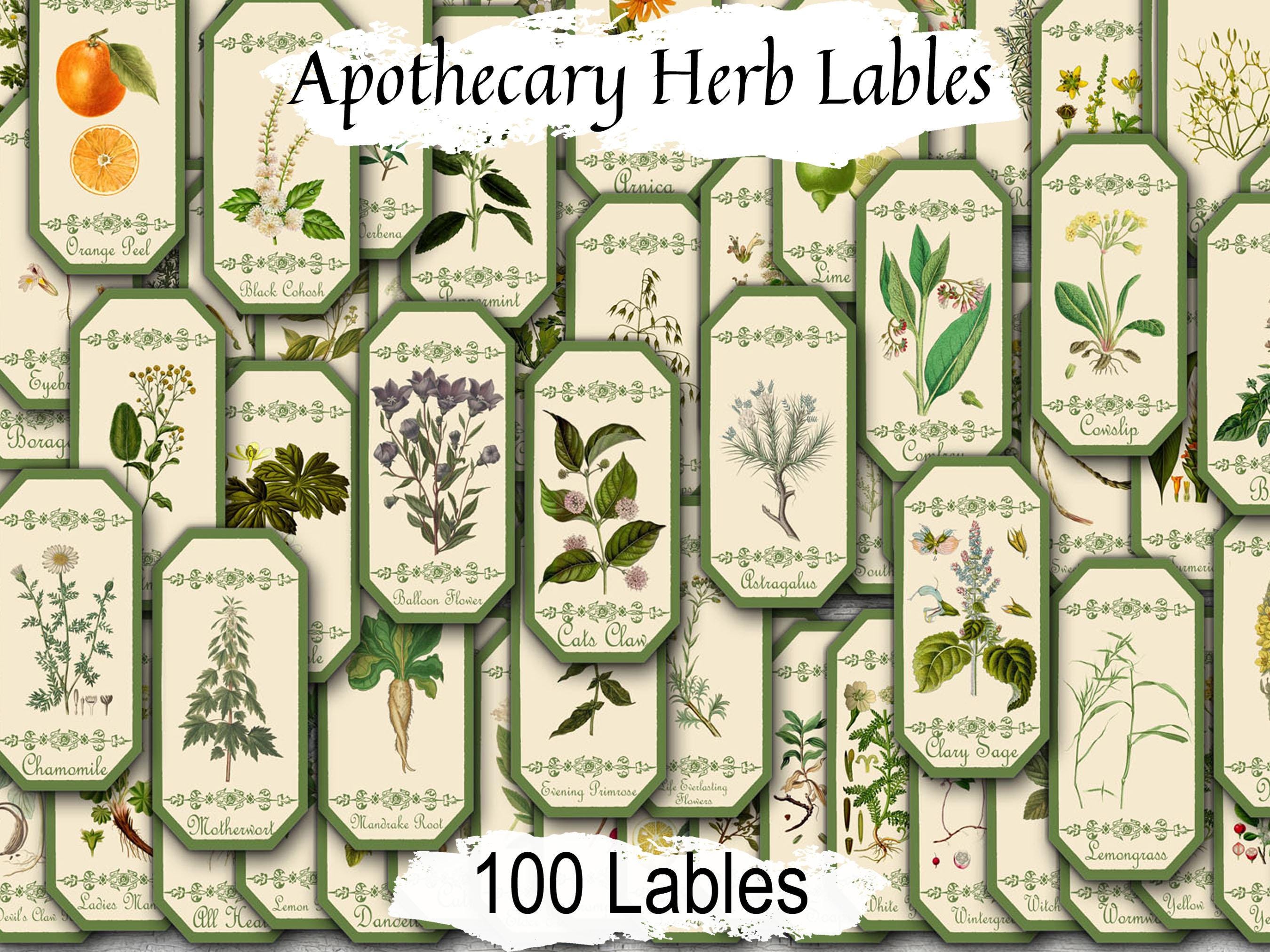 100 Apothecary Herb Labels: Vintage Botanical Witchcraft Tags (JPG ...