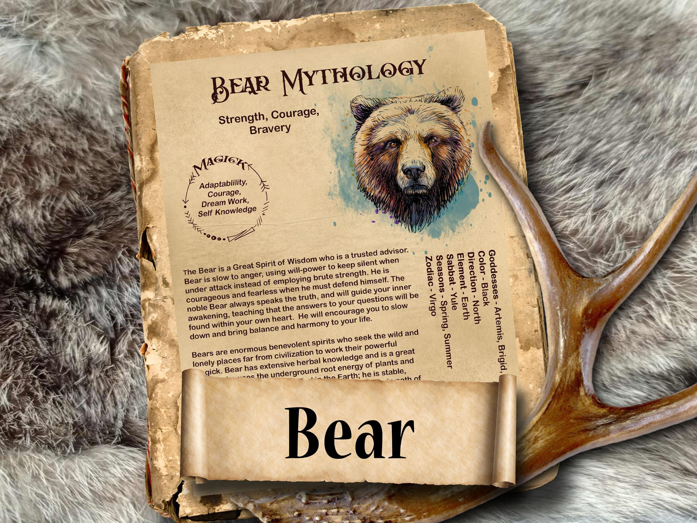 BEAR MAGIC Protector and Advisor Myths & Correspondences 