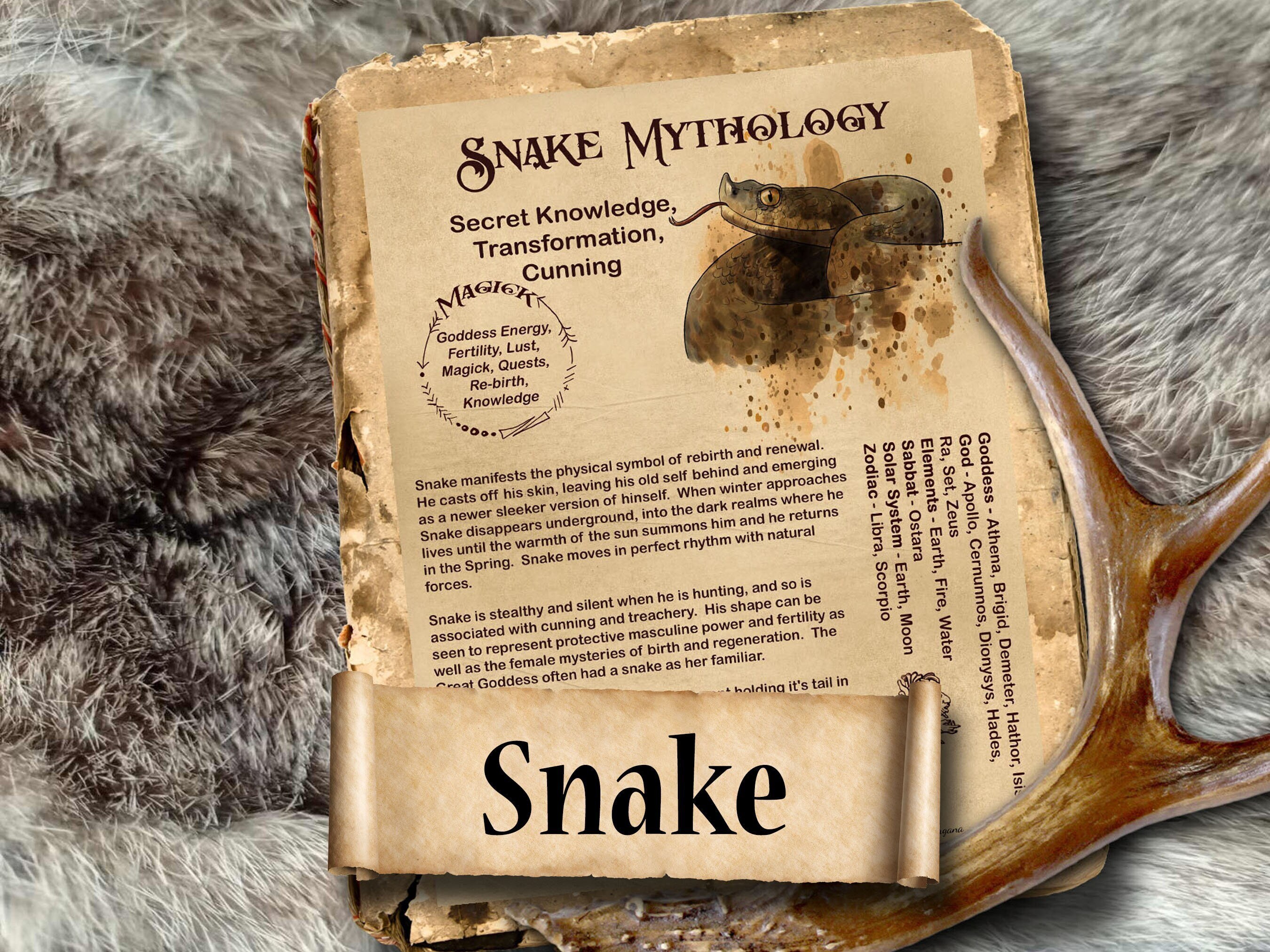 MAGIE DU SERPENT, Sagesse Fertilité Immortalité, Mythes Et.