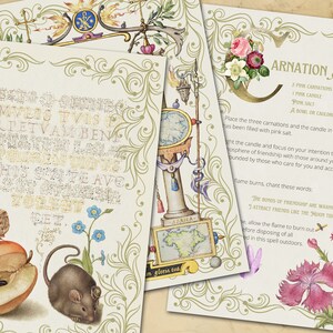 Three pages include fancy script mouse and apple page, blank medieval floral page and Carnation Spell