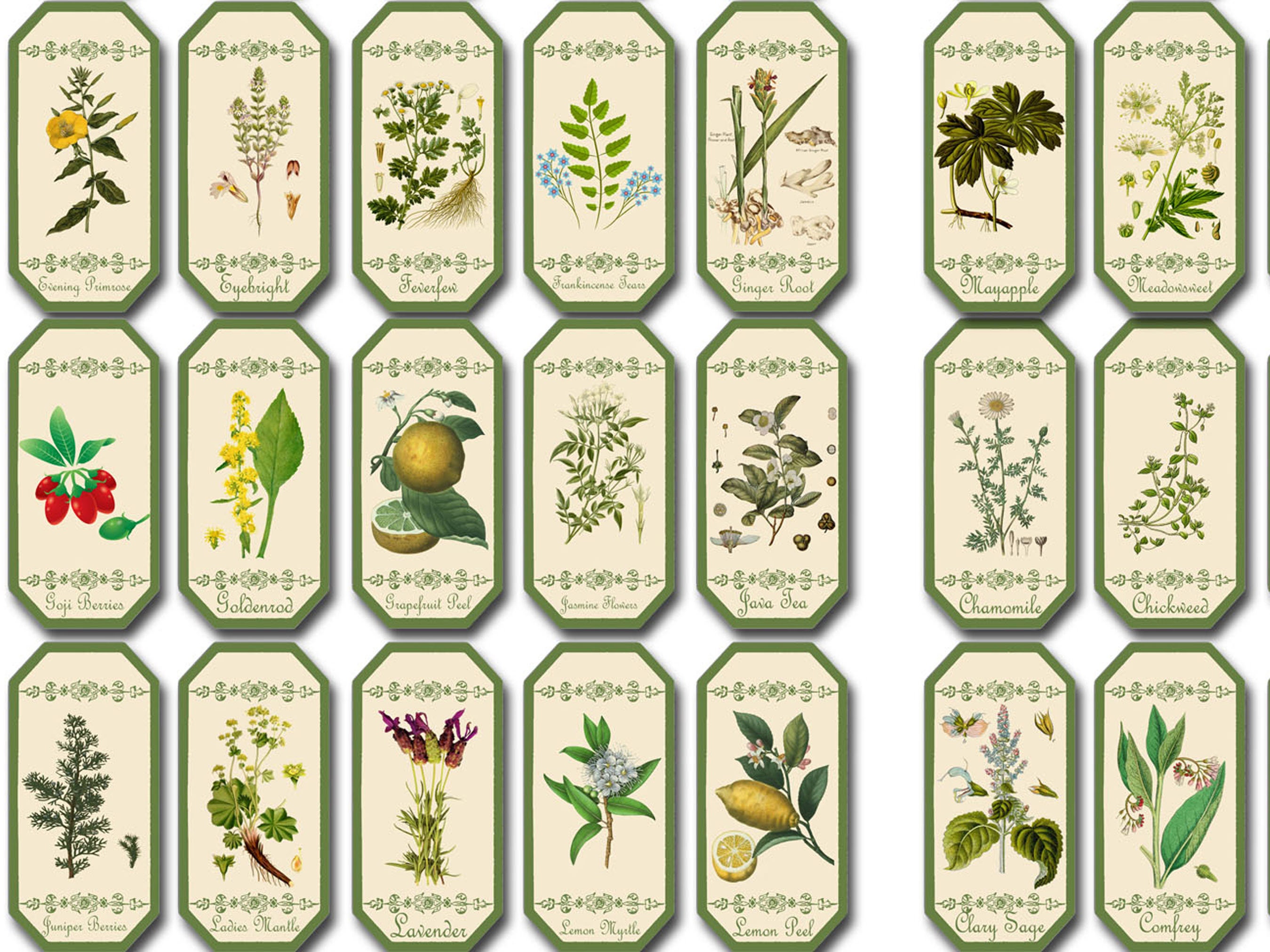 100 HERBAL APOTHECARY LABELS Printable – Morgana Magick Spell