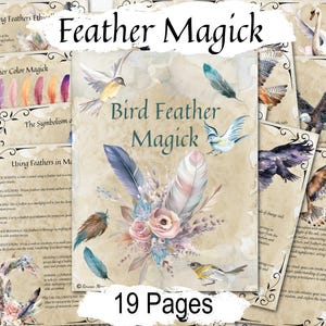 Magia de las plumas: símbolos espirituales, hechizos y conexiones angélicas