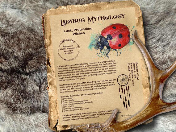 LADYBUG MAGICK Myths & Correspondences Digital Download - Etsy New Zealand LADYBUG MAGICK Myths & Correspondences Digital Download - Etsy New Zealand