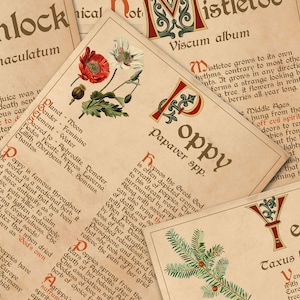 Closeup view of Poppy herb pages.  BANEFUL HERBS Bundle, 13 Poison Botanicals, 46 Witchcraft Pages of Ritual Poisonous Plants, Wicca Witch Herbal Grimoire of Baneful Plants - Morgana Magick Spell