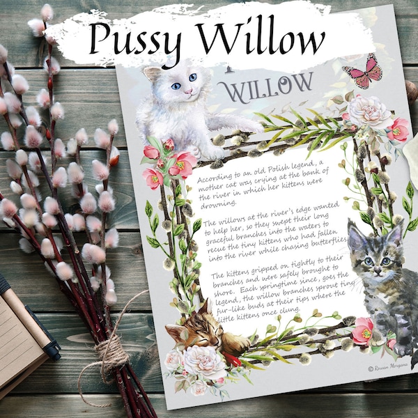 PUSSY WILLOW, Printable Page, A lovely folktale legend about pussy willow catkins, suitable for all ages, a great children's gift