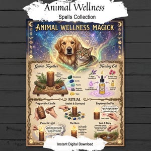 Op de afbeelding: Een poster getiteld Animal Wellness Magick met een golden retriever en een cyperse kat. Het ontwerp bevat secties voor Gather Together, Healing Oil en rituele stappen met tekstinstructies, illustraties van kaarsen, kruiden en kristallen.