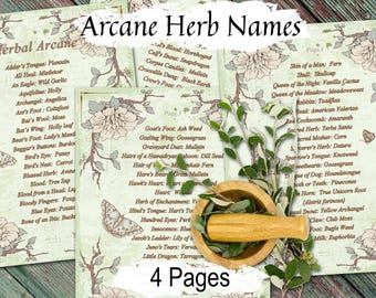 Witchcraft Herb Names Guide: Secret Spell Ingredients (Digital Download)