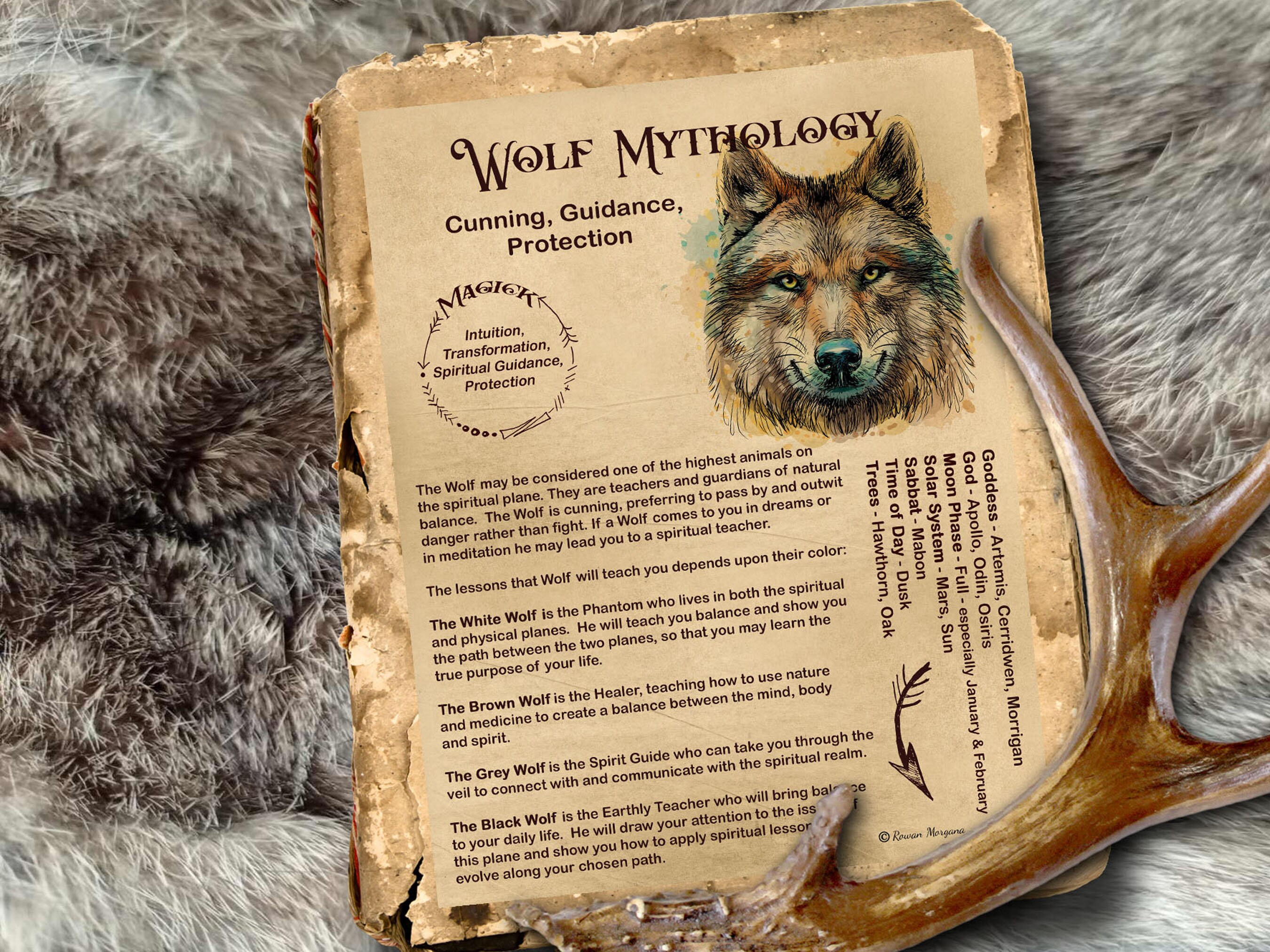 WOLF MAGICK Myths & Correspondences Digital Download Wolf - Etsy Sweden