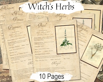 WITCH'S HERBS BUNDLE, 10 Commonly Used Witch's Herbs, Herbal Reference, Wicca Apothecary, Spellbook Book of Shadows, 10 Printable Pages