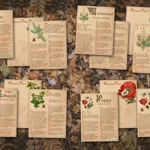 Yew, Wormwood, Wild Tobacco, and Poppy pages BANEFUL HERBS Bundle, 13 Poison Botanicals, 46 Witchcraft Pages of Ritual Poisonous Plants, Wicca Witch Herbal Grimoire of Baneful Plants - Morgana Magick Spell