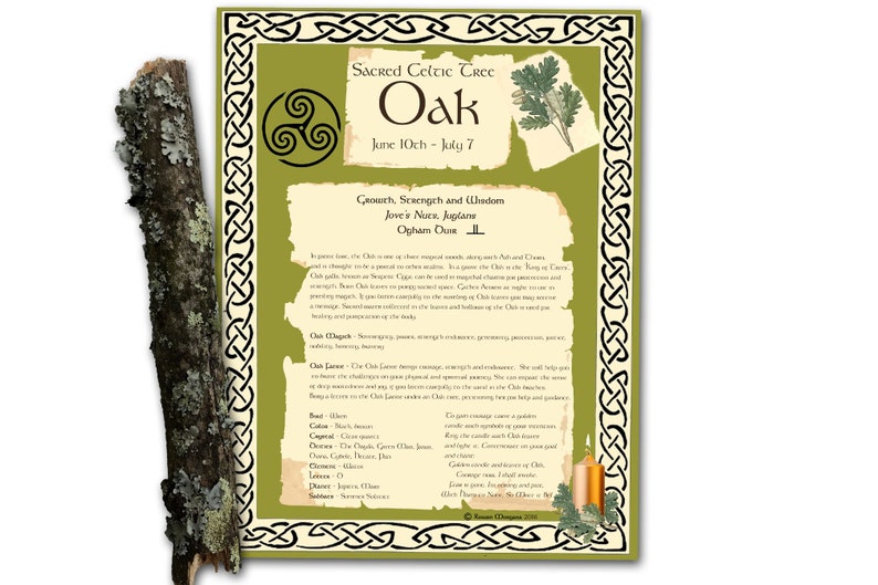OAK CELTIC TREE Druid Tree Month Printable Page for Book Etsy