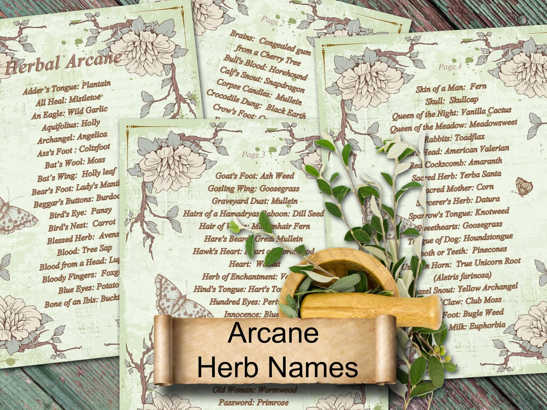 HERBAL ARCANE 4 Printable Pages, the Old Witchcraft Names for Common