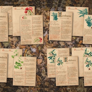 Mistletoe, Henbane, Hemlock, and Hellebore pages BANEFUL HERBS Bundle, 13 Poison Botanicals, 46 Witchcraft Pages of Ritual Poisonous Plants, Wicca Witch Herbal Grimoire of Baneful Plants - Morgana Magick Spell