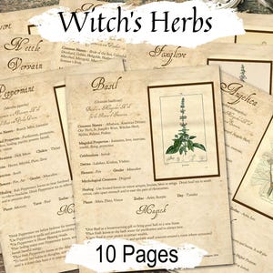 Witch's Herbs Reference Guide: Wicca Apothecary Printable (PDF)