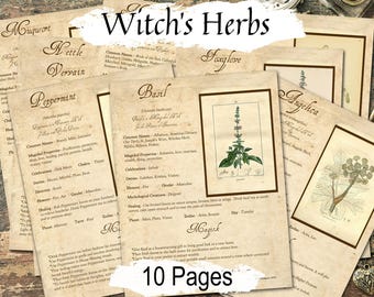 Lot d'herbes de sorcière, 10 herbes de sorcière couramment utilisées et références, apothicaire wicca, 10 pages imprimables
