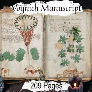 VOYNICH MANUSCRIPT, Ancient 15th Century Witchcraft,  209 Printable Pages, Old Handwritten Mysterious Undecipherable Book of Shadows