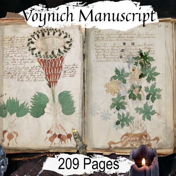 Manuscrit de VOYNICH, sorcellerie ancienne du XVe siècle, 209 pages imprimables, vieux livre des ombres mystérieux et indéchiffrable manuscrit