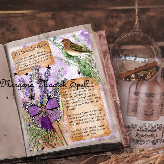 Fairy Spell by Marc Tyler Nobleman Fairy Spell by Marc Tyler Nobleman