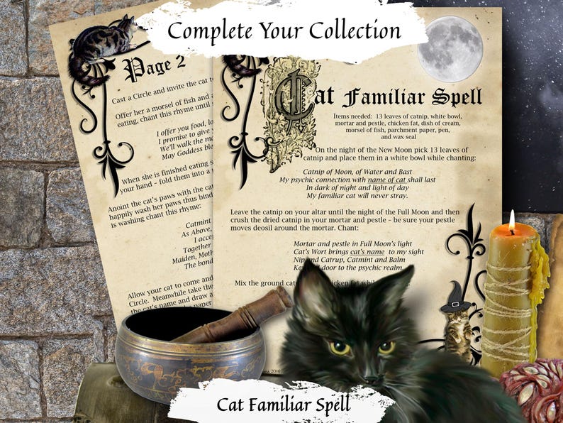 Complete your collection Cat Familiar Spell parchment pages.