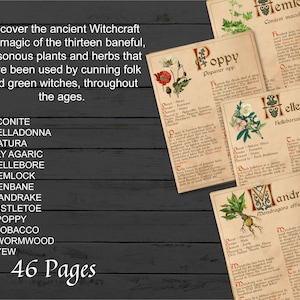 BANEFUL HERBS Bundle, 13 Poison Botanicals, 46 Witchcraft Pages of Ritual Poisonous Plants, Wicca Witch Herbal Grimoire of Baneful Plants - Morgana Magick Spell