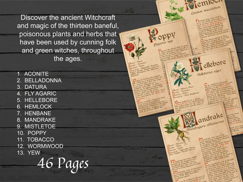 BANEFUL HERBS Bundle, 13 Poison Botanicals, 46 Witchcraft Pages of Ritual Poisonous Plants, Wicca Witch Herbal Grimoire of Baneful Plants - Morgana Magick Spell