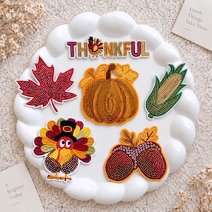 Thanksgiving-tygmärken – broderade applikationer med kalkon, pumpa och höstmotiv