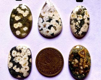Puede incluir: Cinco piedras preciosas pulidas en varias formas y patrones. Las piedras preciosas presentan una mezcla de colores, incluyendo blanco, verde, marrón y negro. Se incluye una moneda de un dólar estadounidense para la comparación de tamaños. Las piedras preciosas son probablemente para la fabricación de joyas o coleccionar.