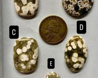 May include: An assortment of polished gemstones in various shapes, including oval and round, with a speckled pattern of white and olive green. A US quarter coin is included for size reference. The gemstones are displayed on a light gray surface.