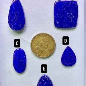 Puede incluir: Se muestran cinco piedras preciosas de lapislázuli pulidas de varias formas, incluyendo lágrima, cuadrado, ovalado y triangular. Una moneda de un dólar de oro se coloca en el centro para comparar el tamaño. Las piedras son de color azul oscuro con motas blancas.