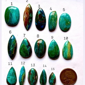 May include: A collection of fifteen polished gemstones in various shapes and sizes, showcasing a range of colors including teal, brown, and green. A coin is included for size comparison. The gemstones are numbered 1 through 15.