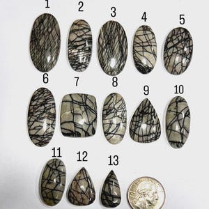 May include: A collection of thirteen polished gemstones in various shapes, including oval, rectangular, and teardrop. The stones are light gray with intricate black veining patterns. A US quarter is included for size reference.