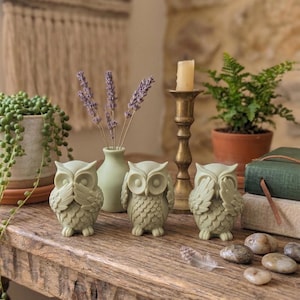 Könnte beinhalten: Drei salbeigrüne Eulenfiguren, eine bedeckt die Augen, eine die Ohren und die dritte den Mund. Die Eulen stehen auf einer Holzoberfläche mit einer Vase mit Lavendel, einer Kerze und einem Topffarn.