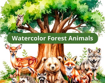 Watercolor Forest Animals Clipart, Woodland Creatures PNG, Cute Fox Deer Owl Bear Raccoon, Baby Shower Nursery Art