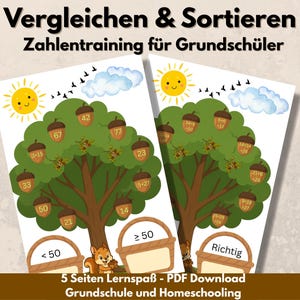 Nalas Nuss-Sortierstation Zahlenverständnis Grundschule Mathe Arbeitsblatt PDF Download mit Lösungsblatt und gratis Ausmalbild