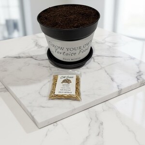 May include: A black plastic plant pot filled with dark soil, featuring a white label that reads Grow Your Own Tortoise Food Zeus World. Beside the pot is a small clear plastic bag containing light brown seeds labelled Cat Grass Zeus World.
